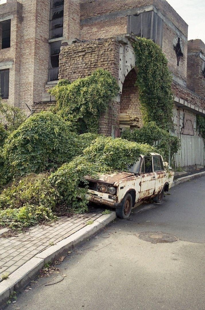 715x1080, 362 Kb / здание, зелень, автомобиль, ржавчина, кирпич