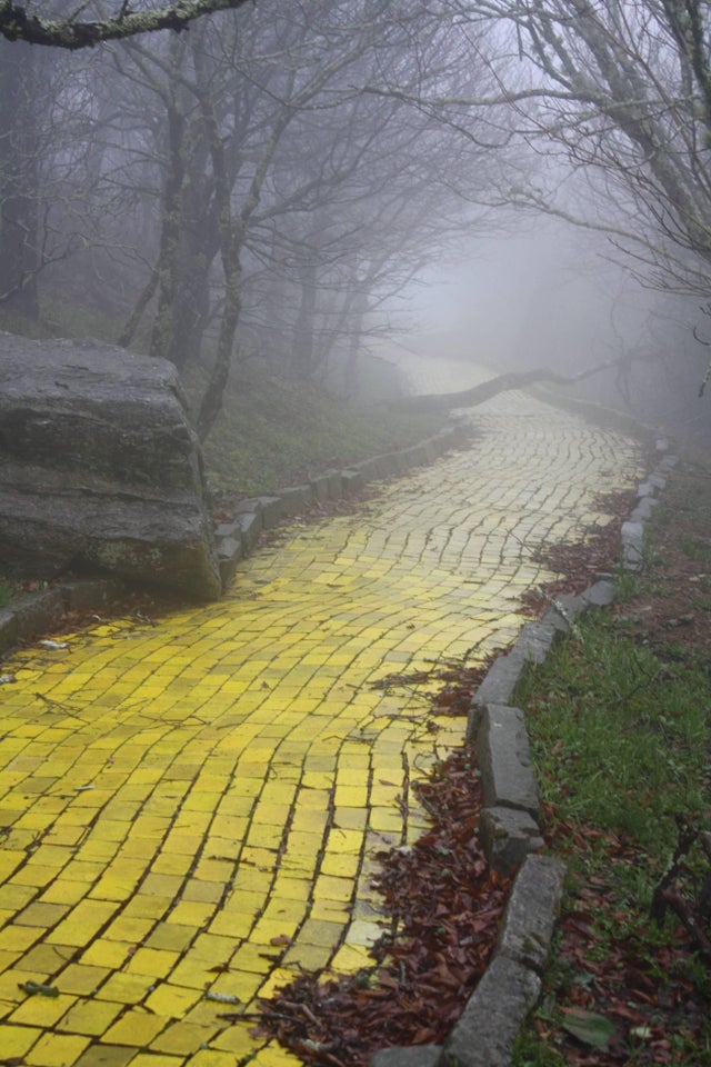 640x960, 114 Kb / дорога из жёлтого кирпича, Страна Оз, заброшенный парк