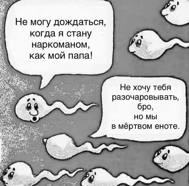750x735, 485 Kb / енот, сперма