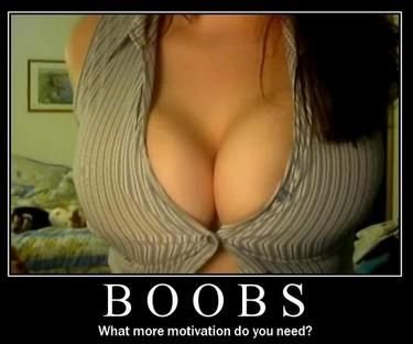 375x312, 19 Kb / грудь, boobs