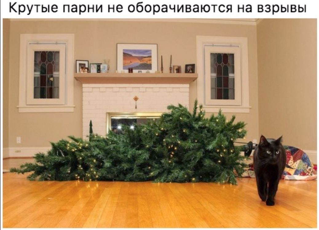 1038x750, 105 Kb / кот, елка, комната