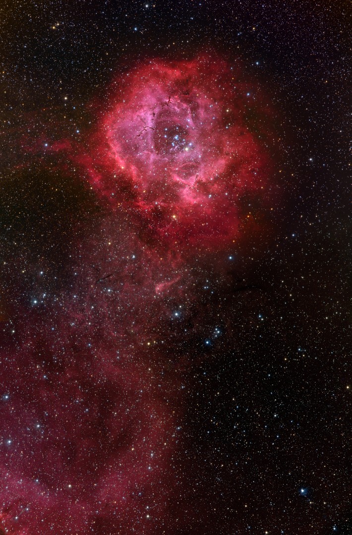 710x1080, 304 Kb / Космос, туманность, наука, звезды, розетка