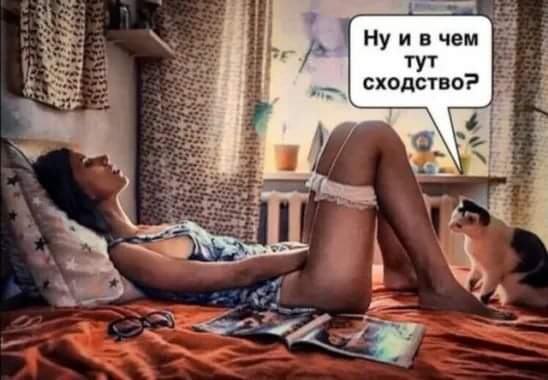 548x380, 29 Kb / Киска, кровать, журнал, кошка, окно