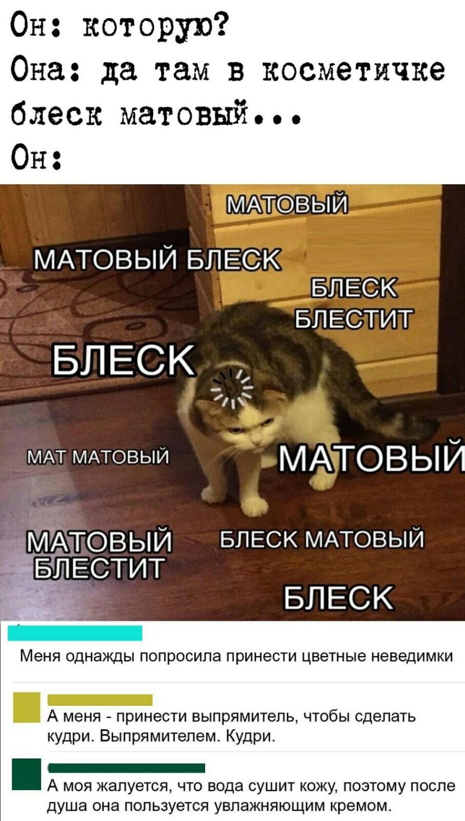 907x1600, 205 Kb / Кот, блеск, матовый