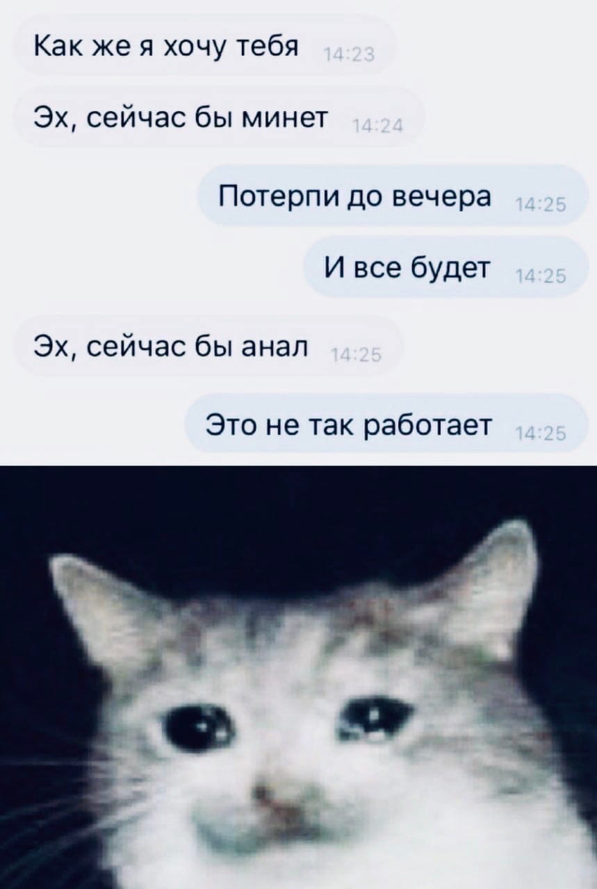 859x1280, 87 Kb / Минет, анал, кот, смс