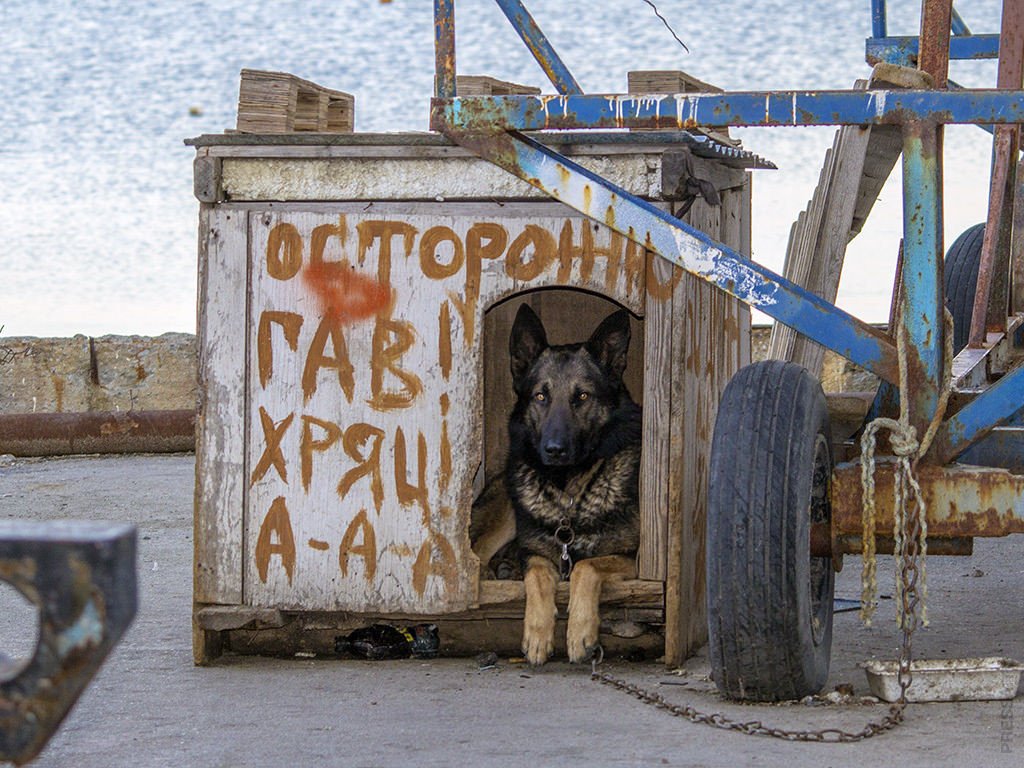 1024x768, 186 Kb / собака, будка, падпись, предупреждение