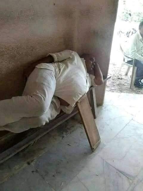480x640, 87 Kb / скамейка, сон, пузо, живот, подставка