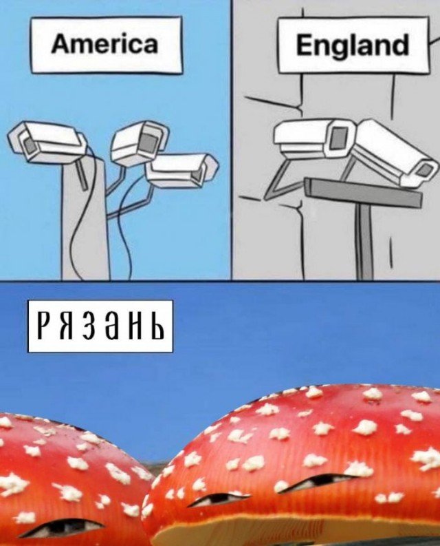 640x793, 74 Kb / America, England, Америка, Англия, Рязань, Ryazan, камеры, грибы с глазами, мухоморы