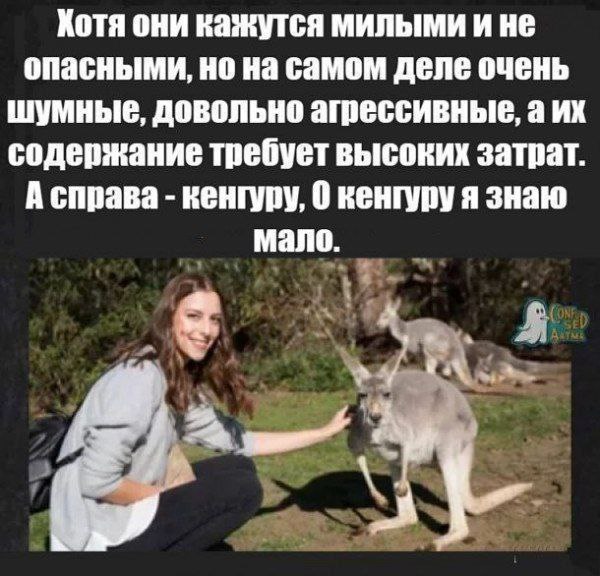 600x576, 95 Kb / Девушка, кенгуру
