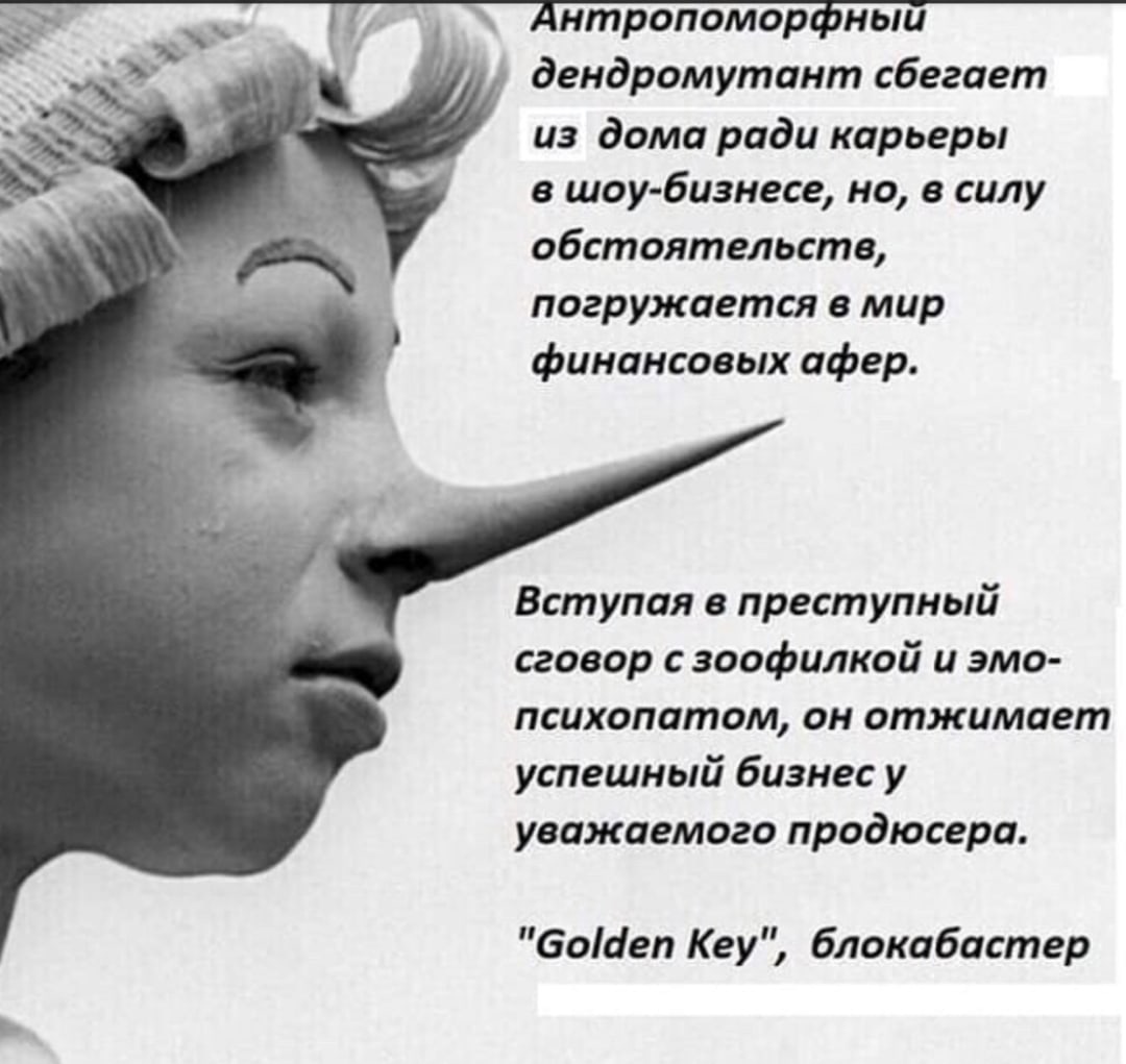 1080x1021, 197 Kb / ч/б, буратино, золотой ключик