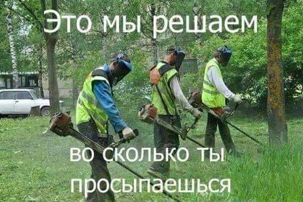593x395, 48 Kb / газонокосильщики, просыпаемся