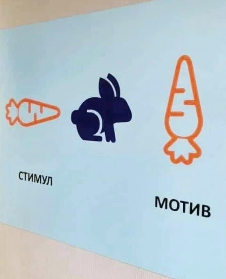 778x960, 32 Kb / заяц, морковка, мотив, стимул