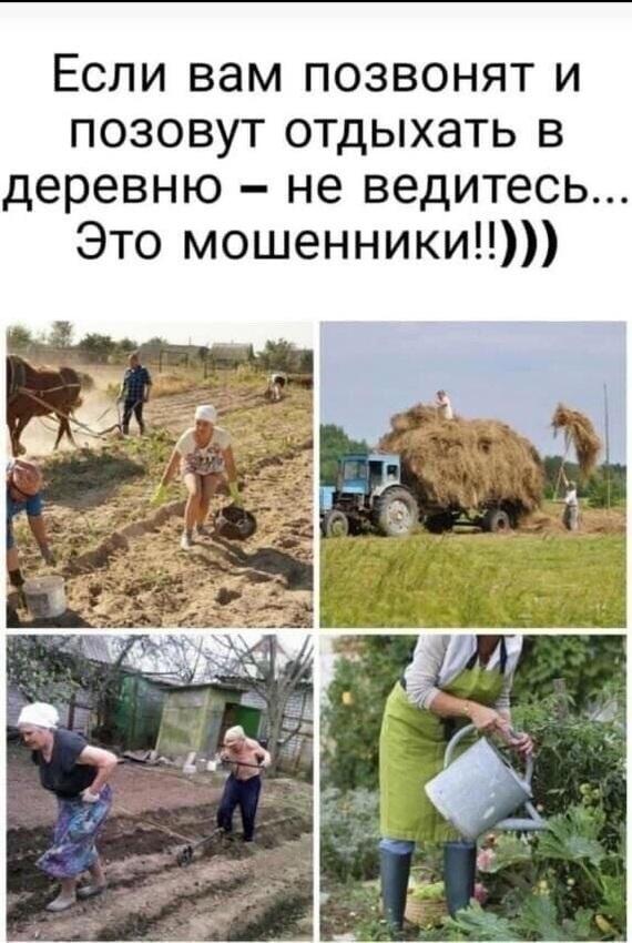 570x850, 83 Kb / отдых, деревня, мошенники