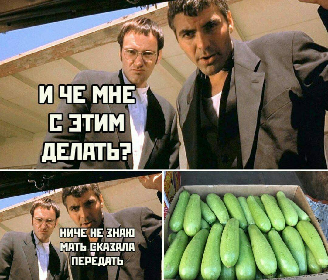 1080x922, 158 Kb / кабачки, тарантино