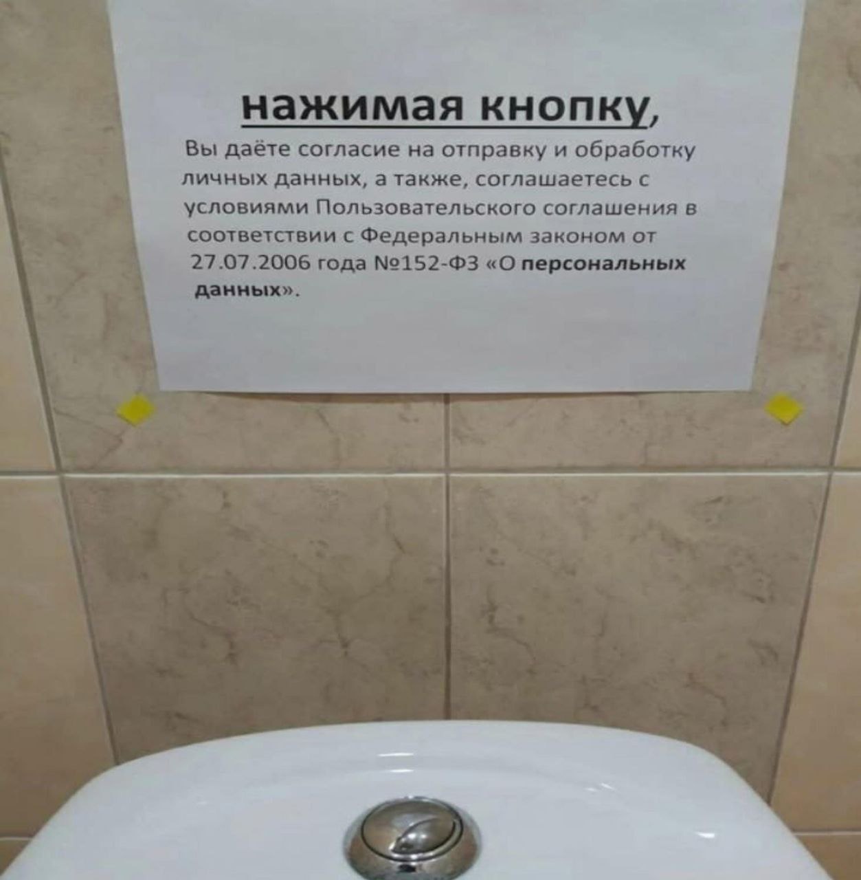 1253x1280, 113 Kb / кнопка, персональные данные