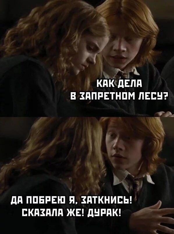 598x807, 65 Kb / Запретный лес, Гермиона, Рональд