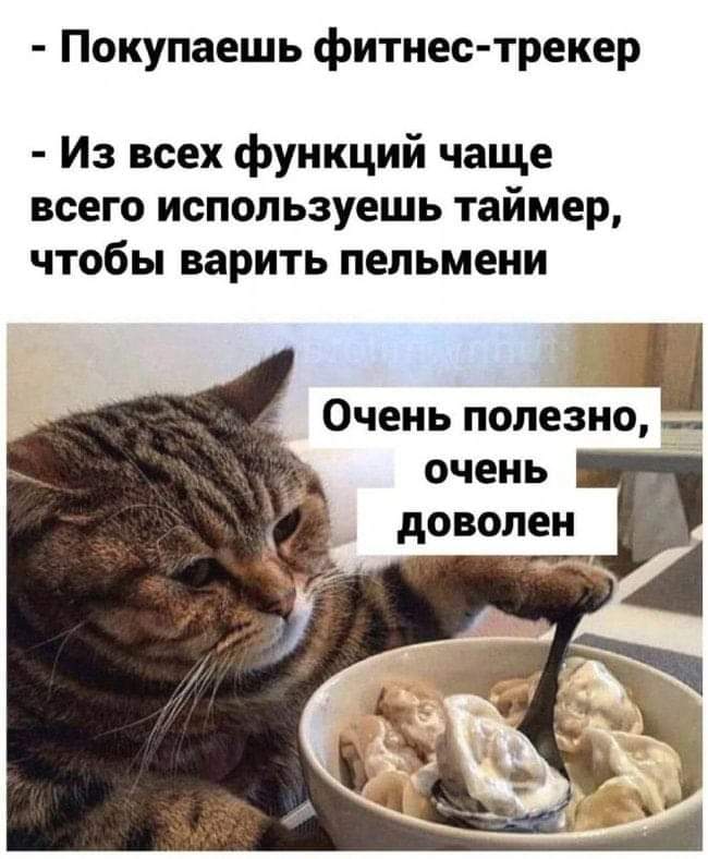 650x788, 59 Kb / Фитнес, трекер, пульс, таймер, пельмени, кастрюля