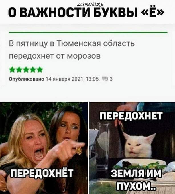 614x679, 42 Kb / Буква ё, морозы, кот, Тюмень