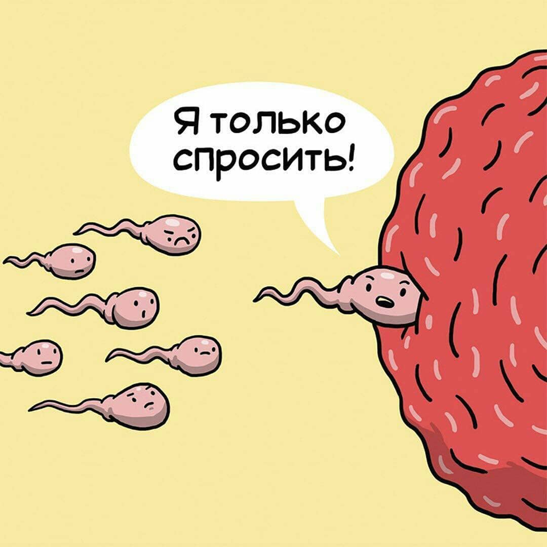 1080x1080, 84 Kb / только спросить, приём, сперматозоид, яйцеклетка, очередь