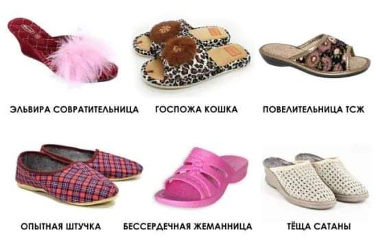 548x365, 20 Kb / Тапки, характер