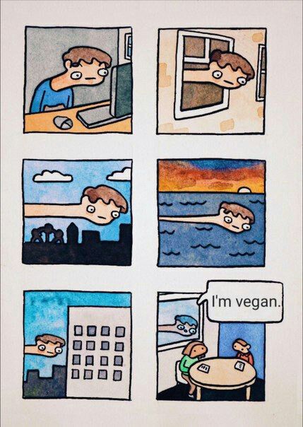 429x604, 61 Kb / веган, окно, компьютер, море, закат