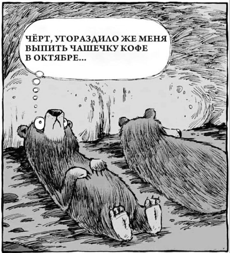 768x842, 241 Kb / медведь, спячка, кофе, октябрь