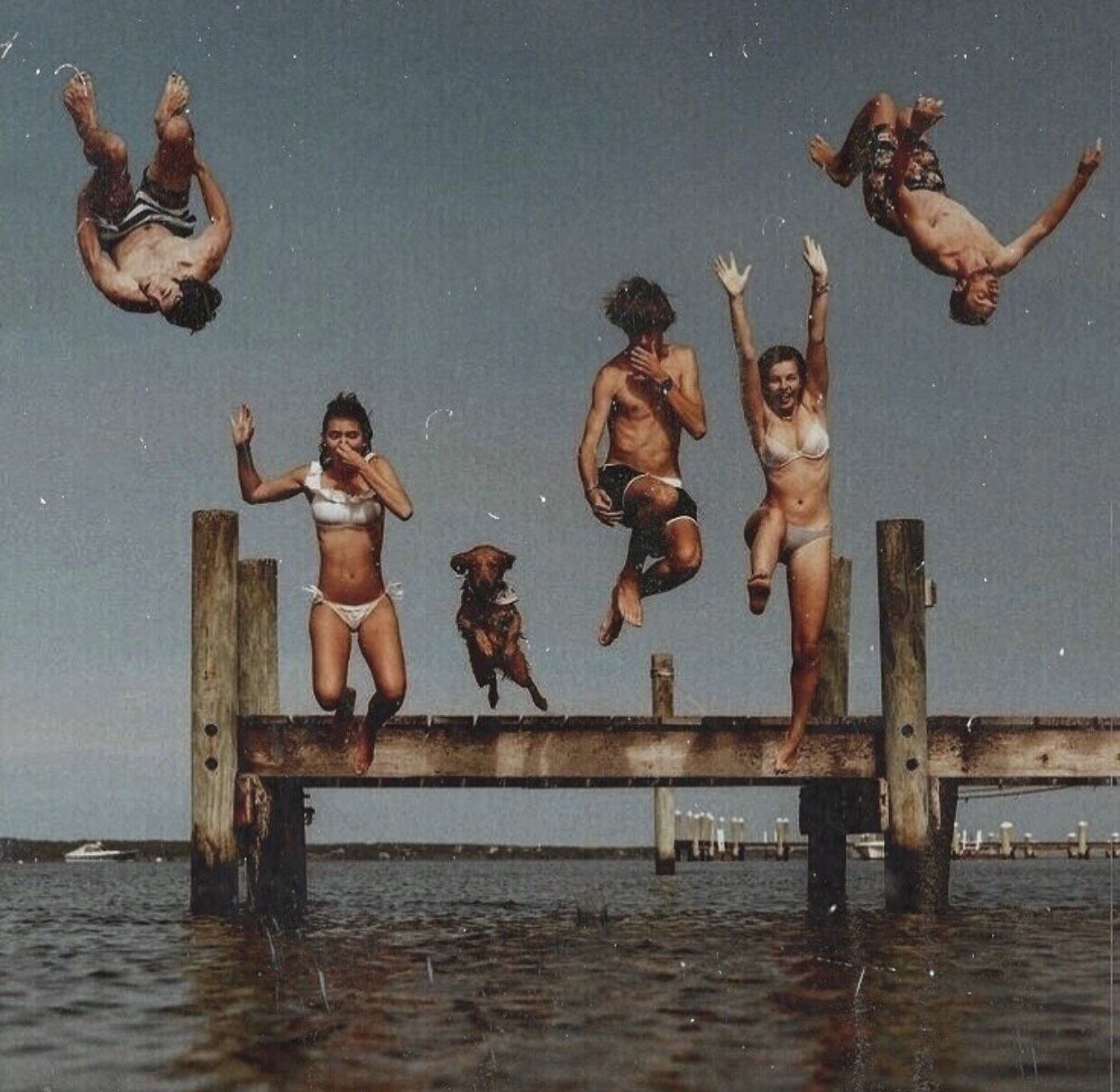 1242x1211, 185 Kb / парни, девушки, собака, ныряют, пирс, вода