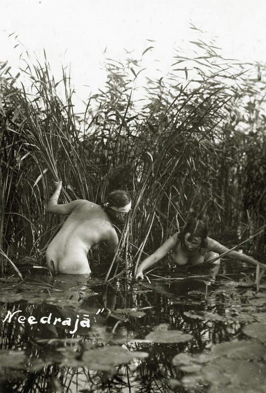 542x800, 135 Kb / девушки, камыш, вода, ч/б