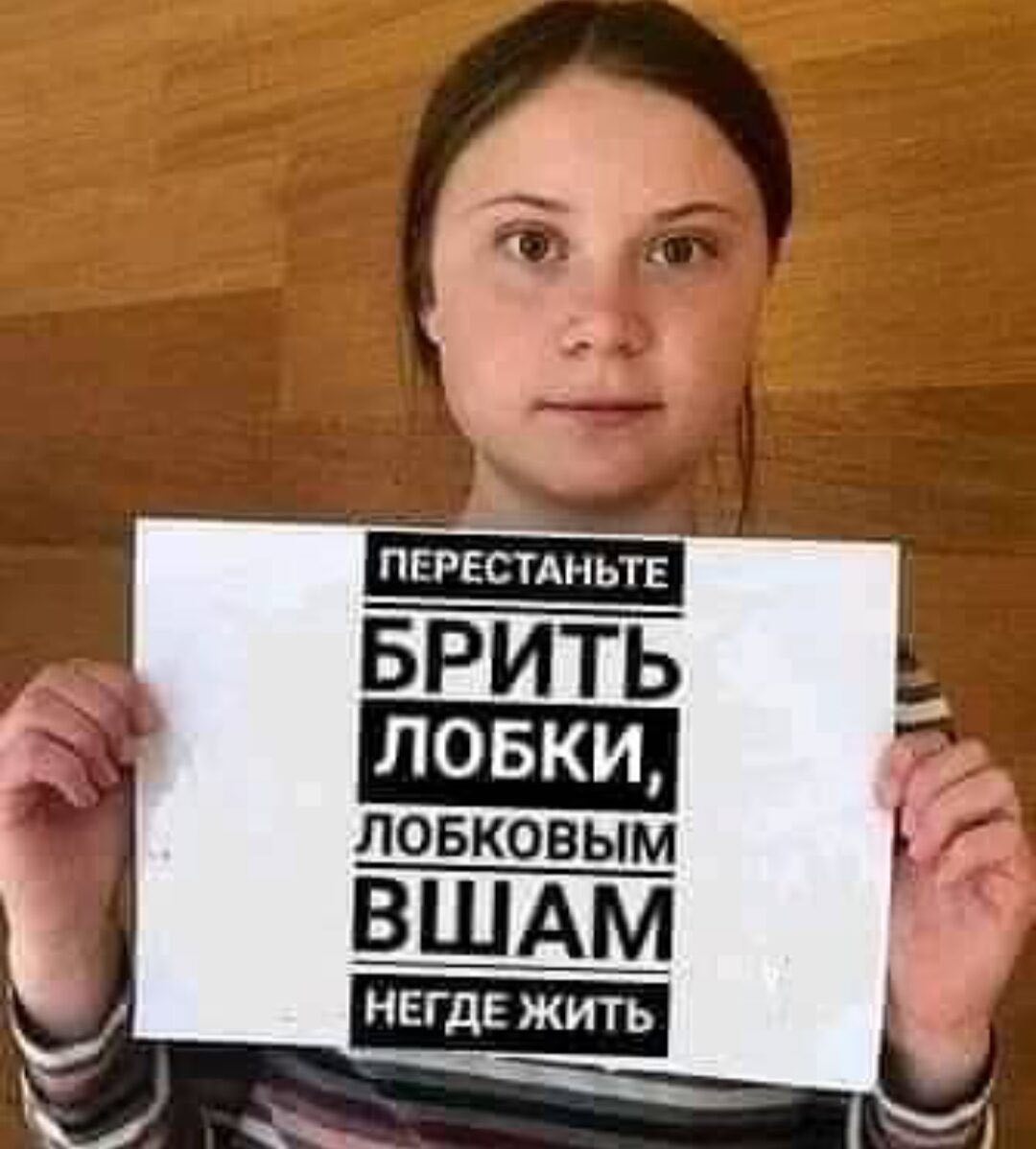 1080x1198, 107 Kb / Грета, плакат, лобковые вши