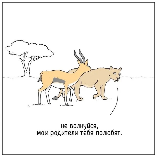 640x640, 53 Kb / львица, антилопа