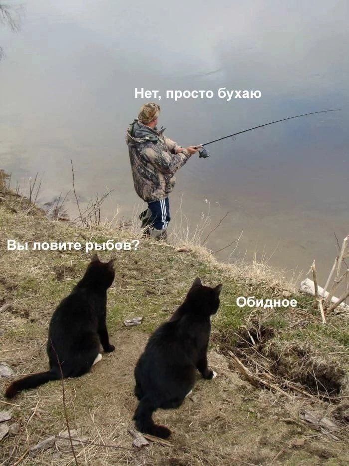 700x933, 124 Kb / Рыбак, кот, кошка