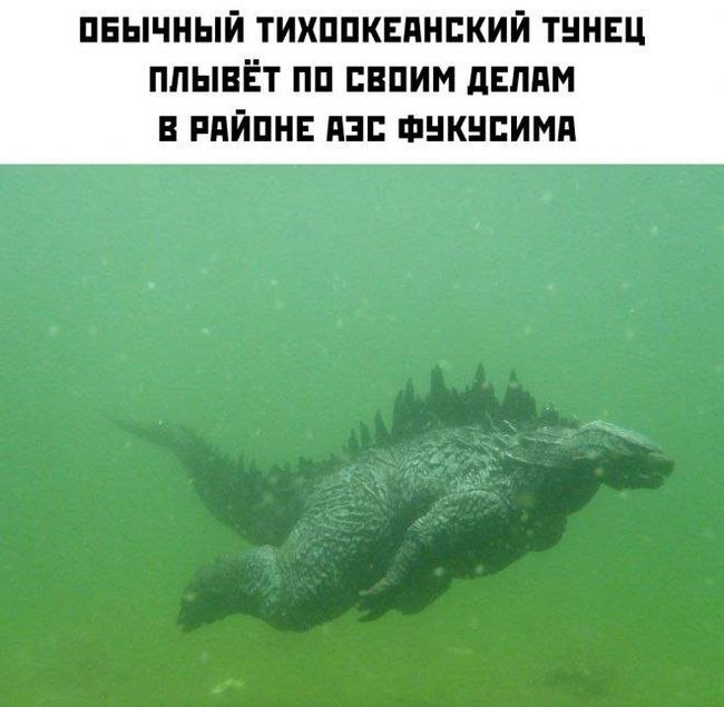 650x635, 50 Kb / Фукусима, Годзилла, АЭС