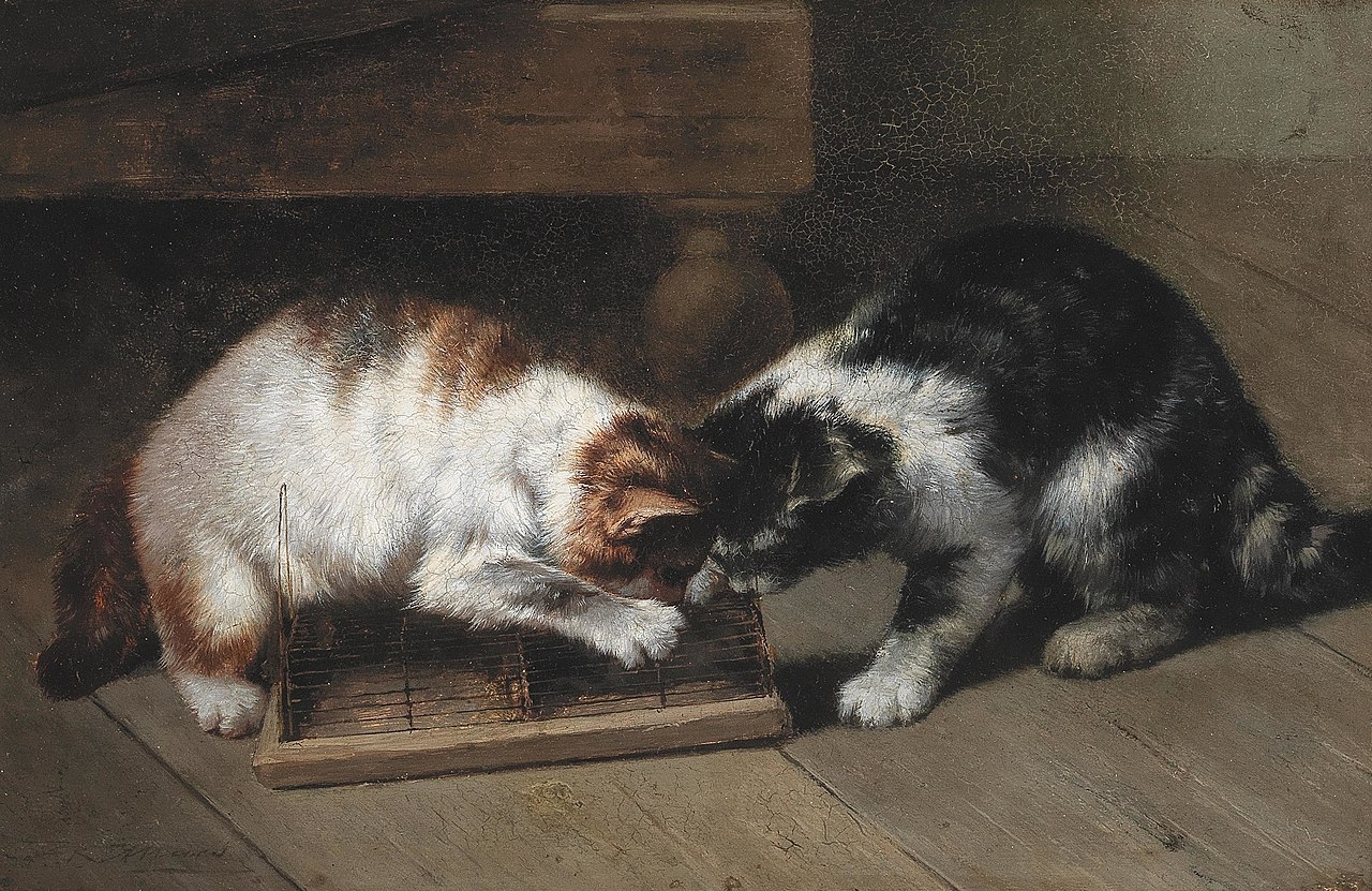 1280x831, 388 Kb / коты, кошки, мышеловка, возня, делёжка, картина