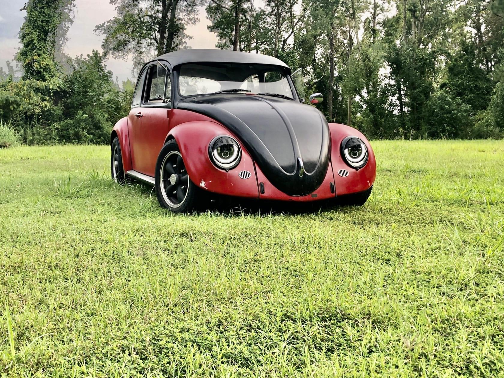 1680x1260, 532 Kb / автомобиль, ретро, Volkswagen, beetle, трава, деревья