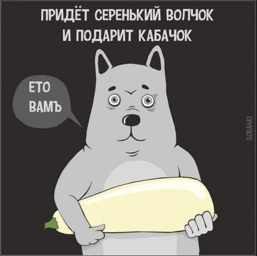 530x528, 29 Kb / Волк, волчок, кабачок, серый