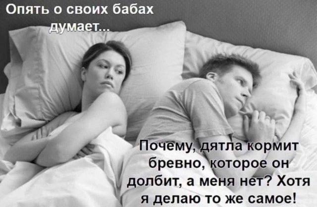 640x418, 37 Kb / Дятел, бревно