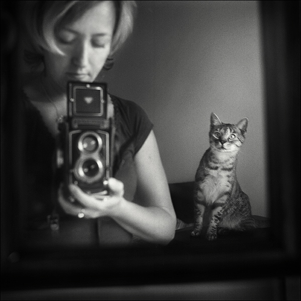 600x600, 117 Kb / кот, фотоаппарат, ч/б
