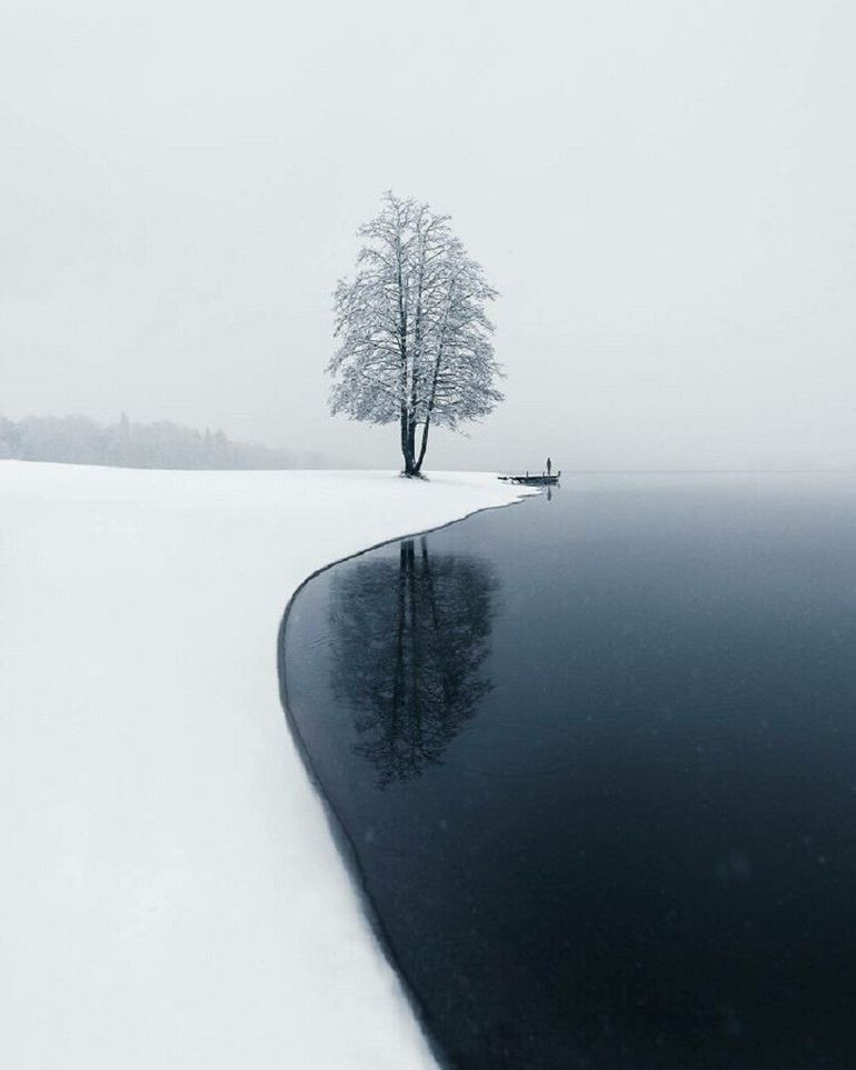 770x963, 46 Kb / дерево, озеро, снег