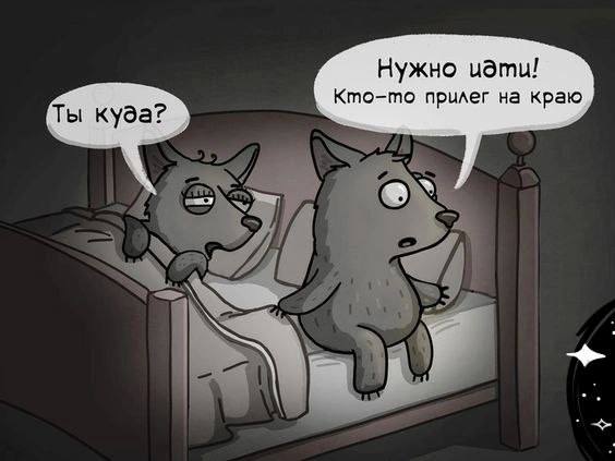 564x423, 28 Kb / Волк