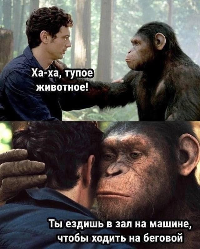 640x796, 142 Kb / обезьяна, человек