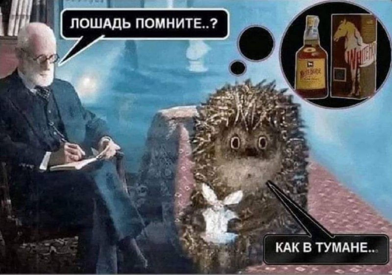 800x561, 89 Kb / фрейд,ёжик в тумане