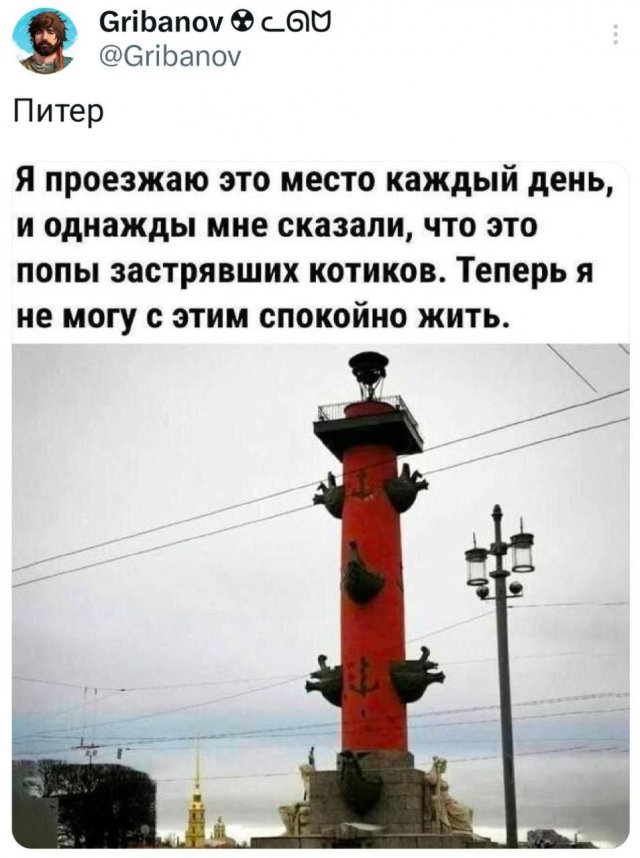 640x858, 77 Kb / ростральная колонна, питер, котики