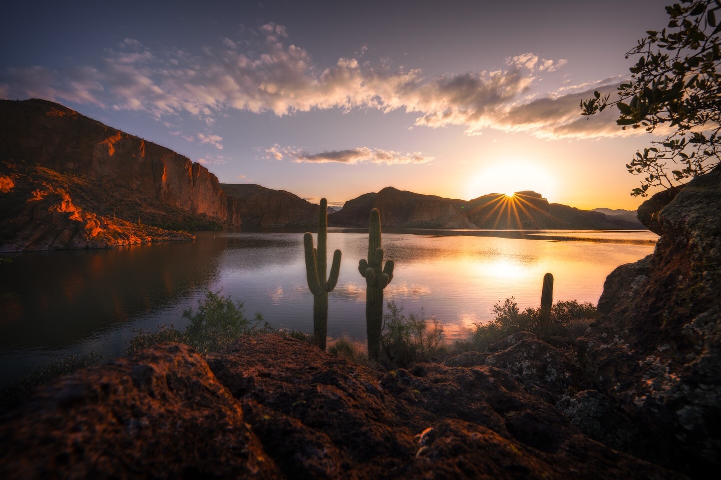 1440x959, 298 Kb / горы, кактус, озеро, солнце, закат, воскход