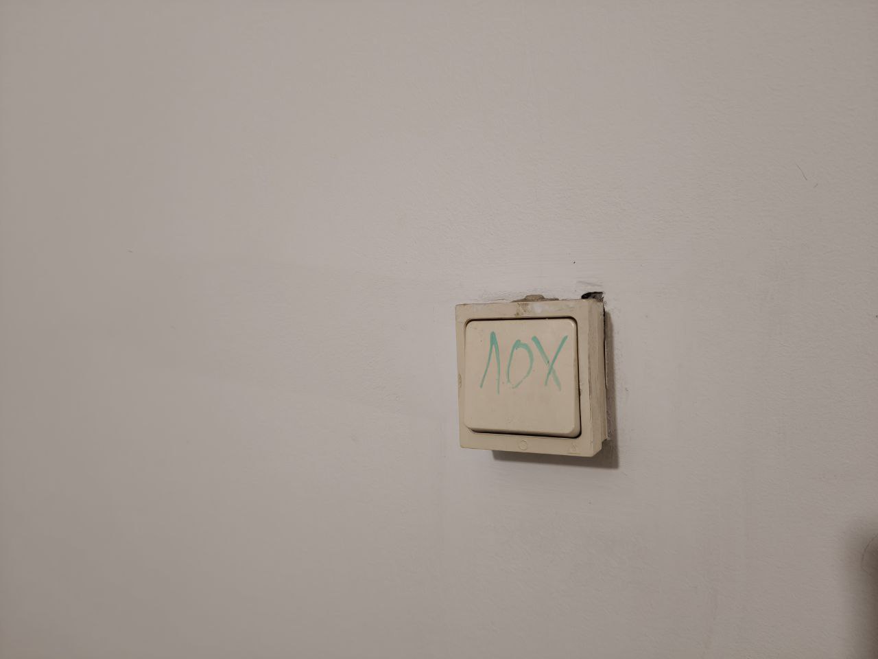 1280x960, 42 Kb / подъезд, выключатель, лох, стена, штукатурка, известка