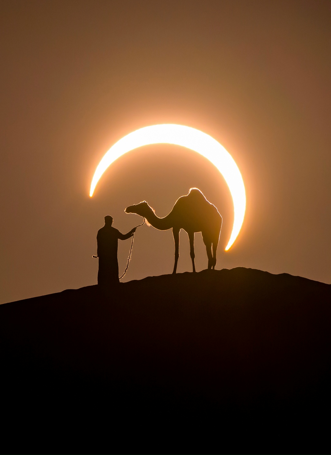 1080x1486, 204 Kb / затмение, пустыня, Руб-эль-Хали, верблюд, бархан