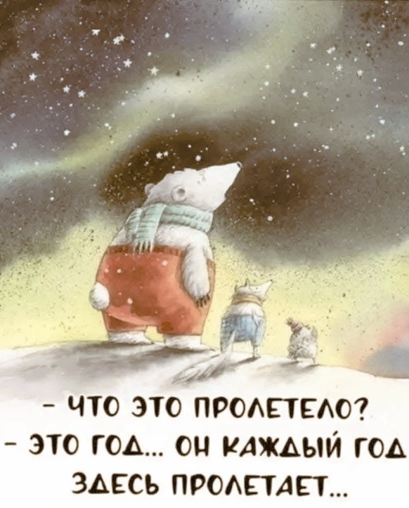 582x722, 131 Kb / медведь,снег,год
