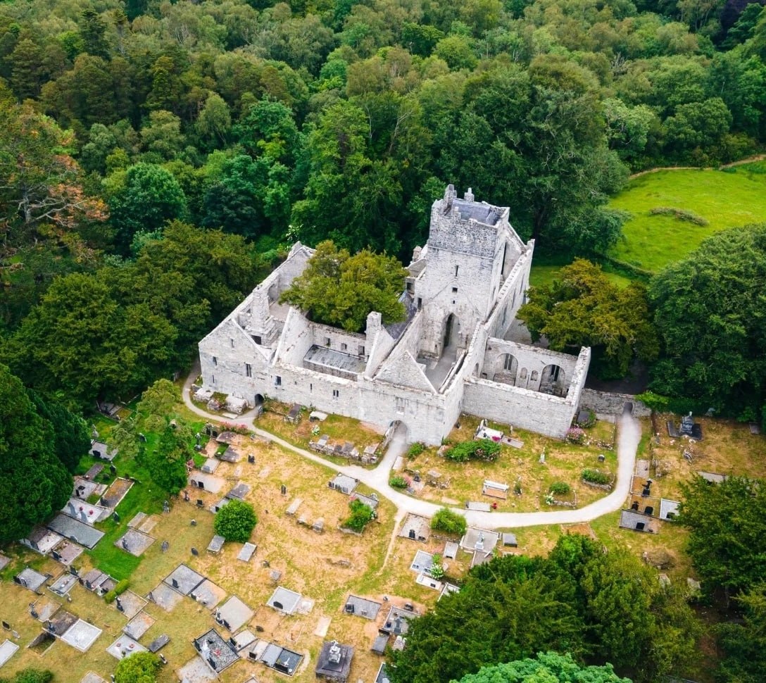 1088x970, 319 Kb / Тис, дерево, Ирландия, монастырь, заброшка