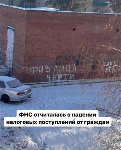 480x594, 64 Kb / стена, кирпичи, надпись, физлица, черти