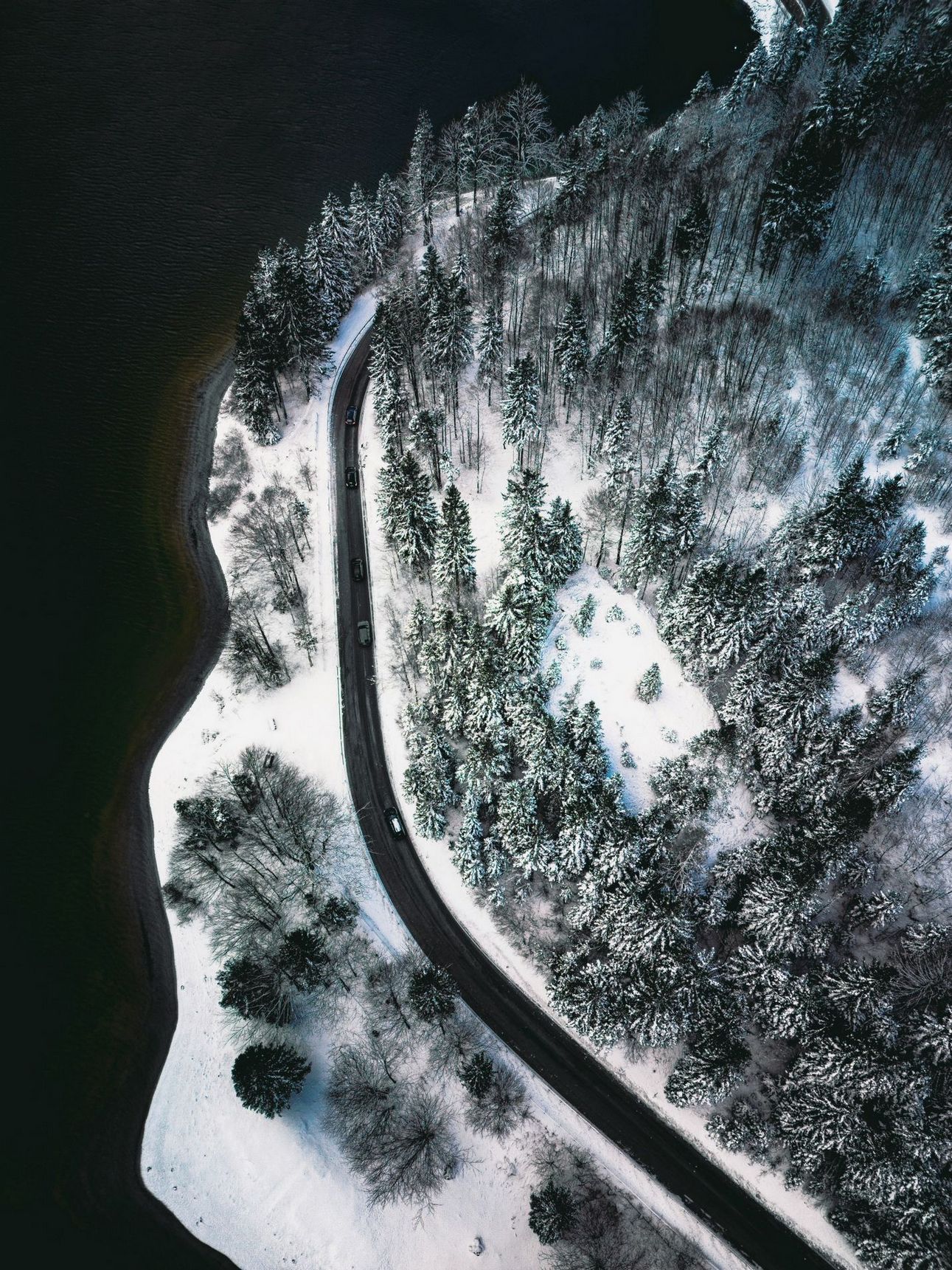 1291x1721, 563 Kb / дорога, снег, лес, побережье