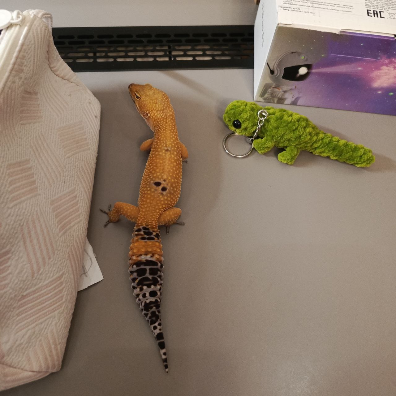 1280x1280, 183 Kb / ящерица, эублефар